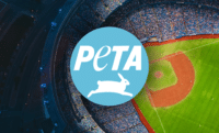 peta strona