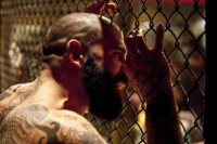 mma